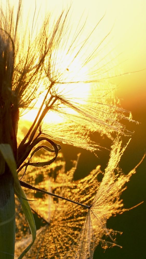 Photograph by Елена Будычева