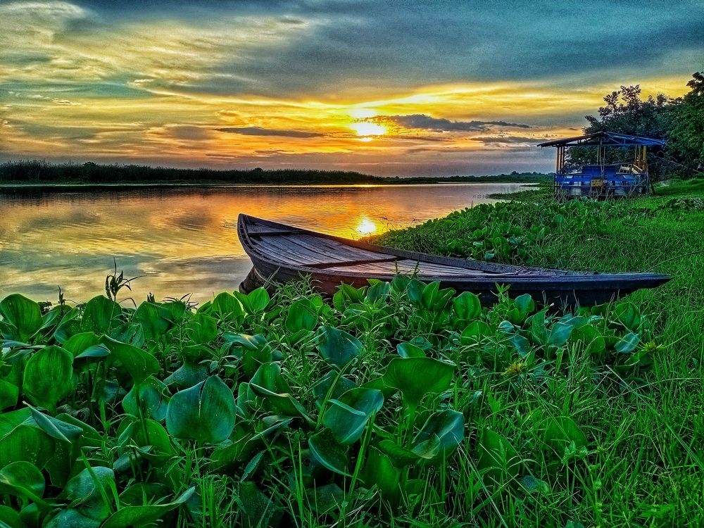 Beauty Of Damodar River