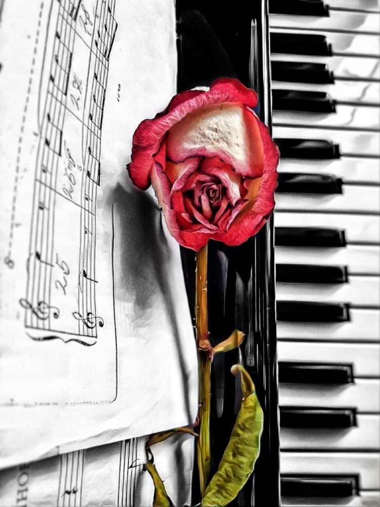 Photograph by Марина