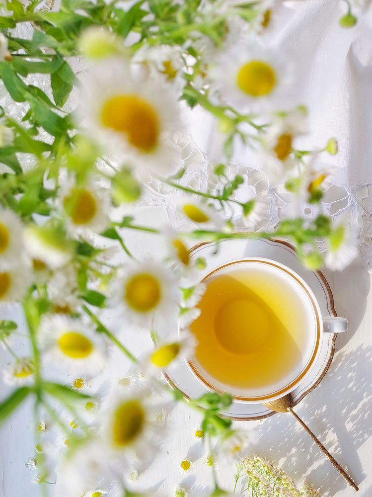 Photograph by Наталия Дроздова