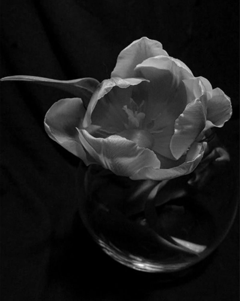 Photograph by Дарья Макаревич