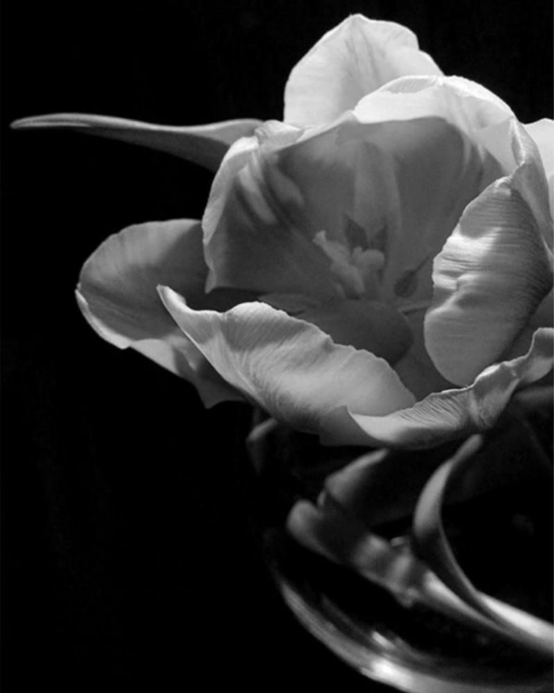 Photograph by Дарья Макаревич