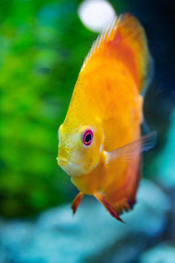 Photograph by Юрий Карпенко