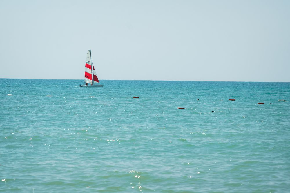 Photograph by Ольга Рачилова