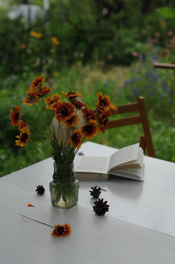 Фотография автора Рудая Галина