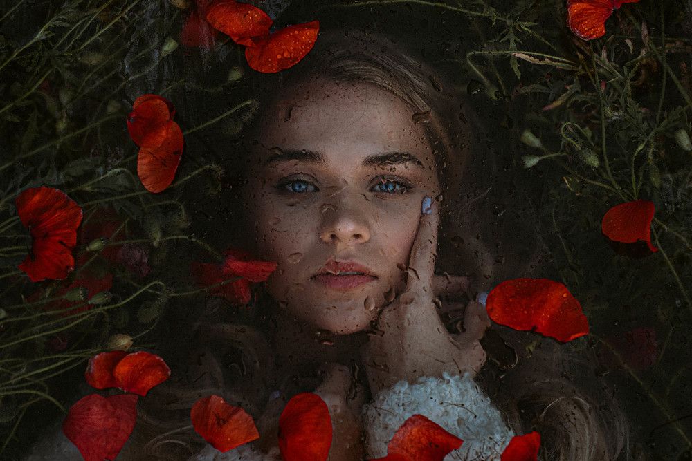 Photograph by konstantin zhdanov