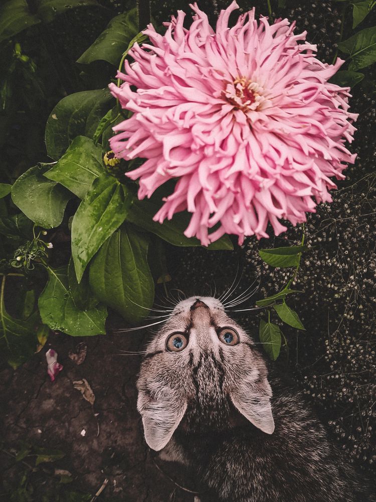 Photograph by Алёна Красова