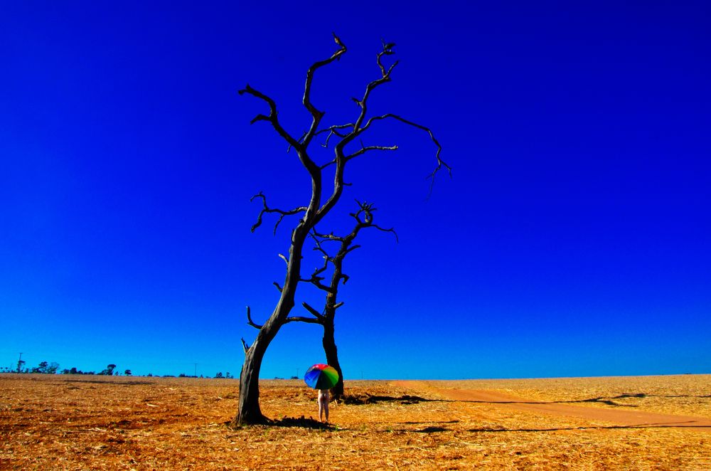 Photograph by Régis Santos