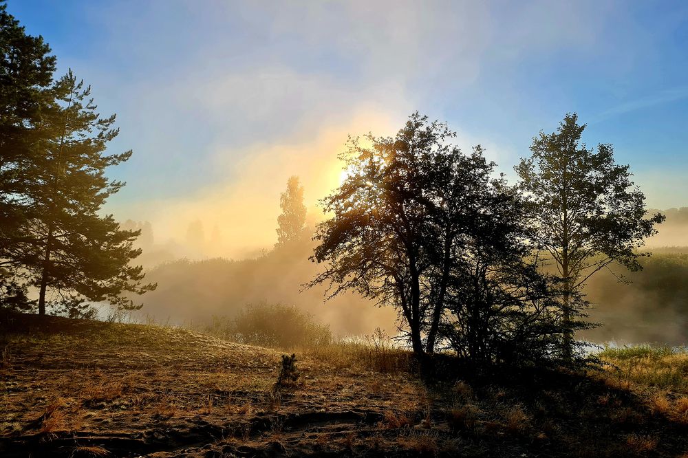 Photograph by Николай Протасеня