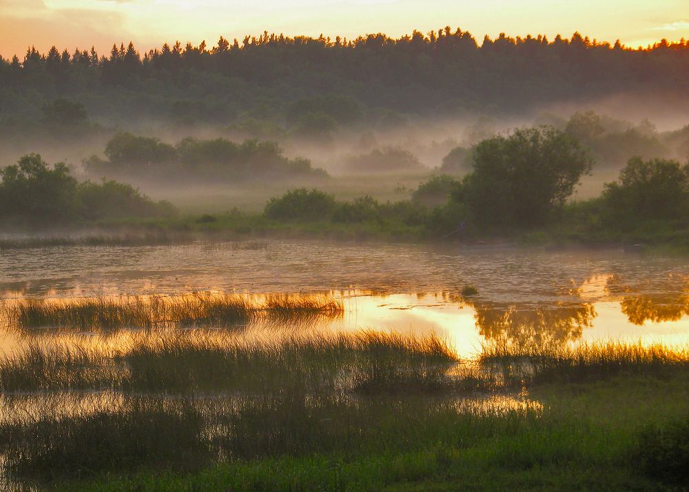 ТЁПЛЫЙ ВЕЧЕР НА ОЗЕРЕ.