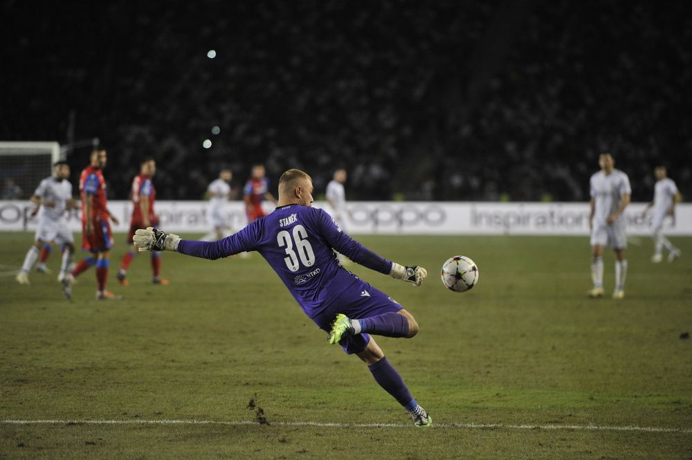 Photograph by Vision Sallys