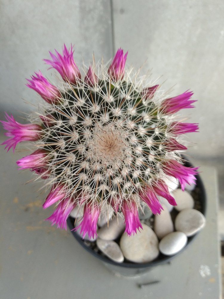 Photograph by Татьяна Ситникова