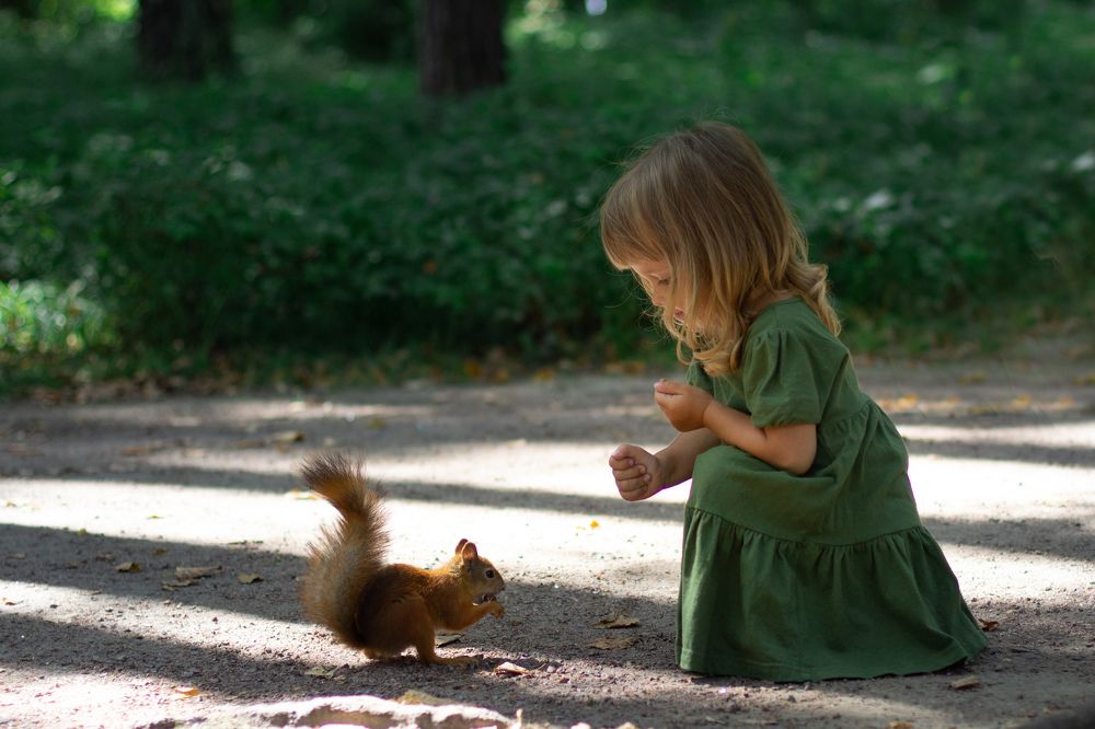 Белка песенки поет и орешки все грызет....