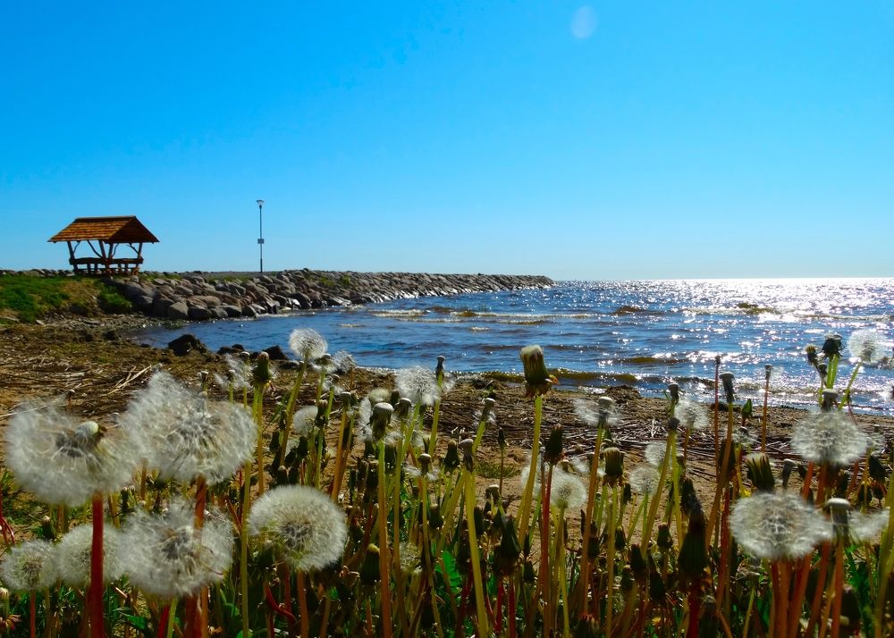 Photograph by ILONA OTRUTSKAYA