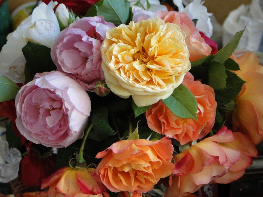 Photograph by Оксана Архипова