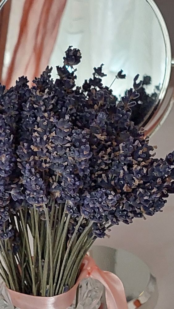 Photograph by Светлана Усатенко