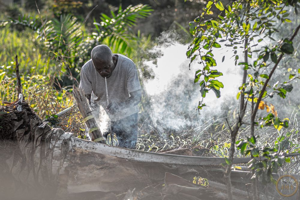 The palm wine tapper