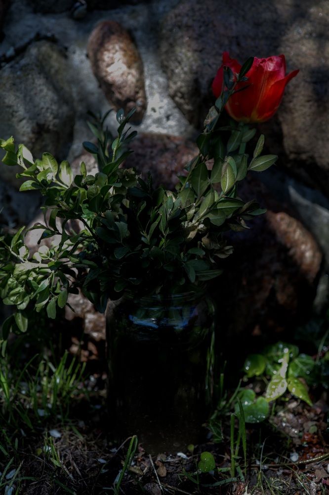 Photograph by Наталья Ахремчик