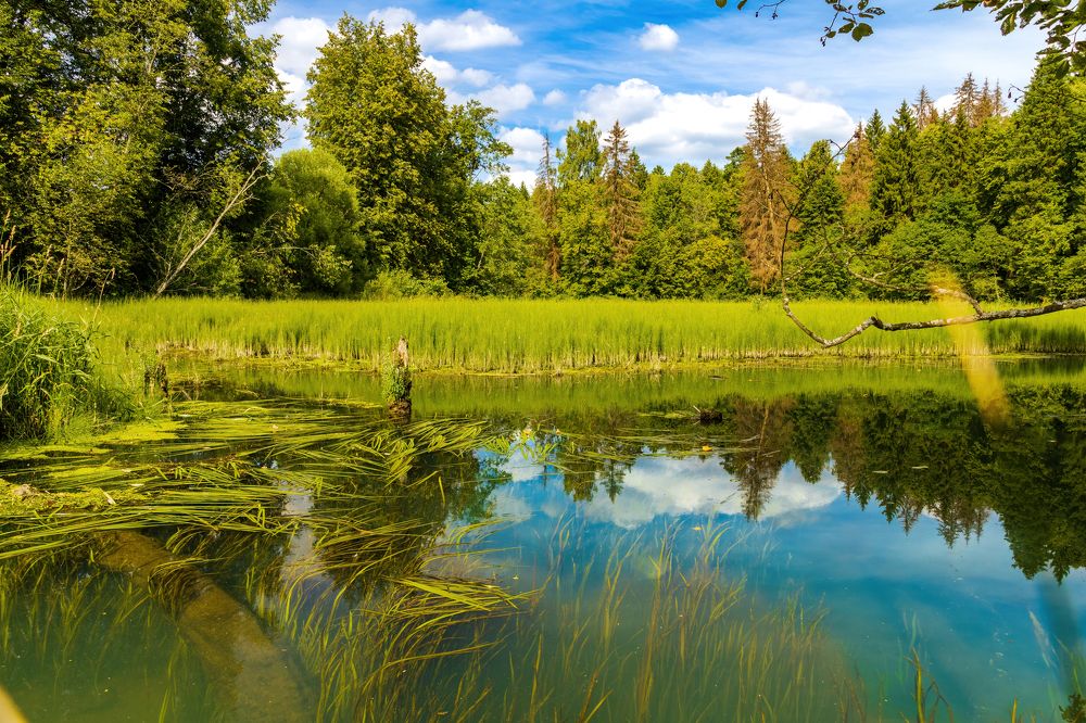 Photograph by Алексей Чеботарев