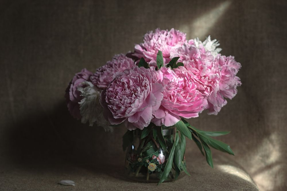 Photograph by Olga Akhmetova