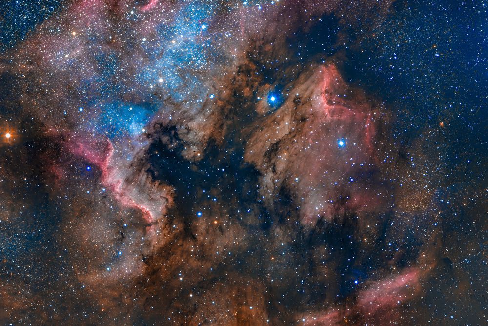 Photograph by Alfredo Madrigal