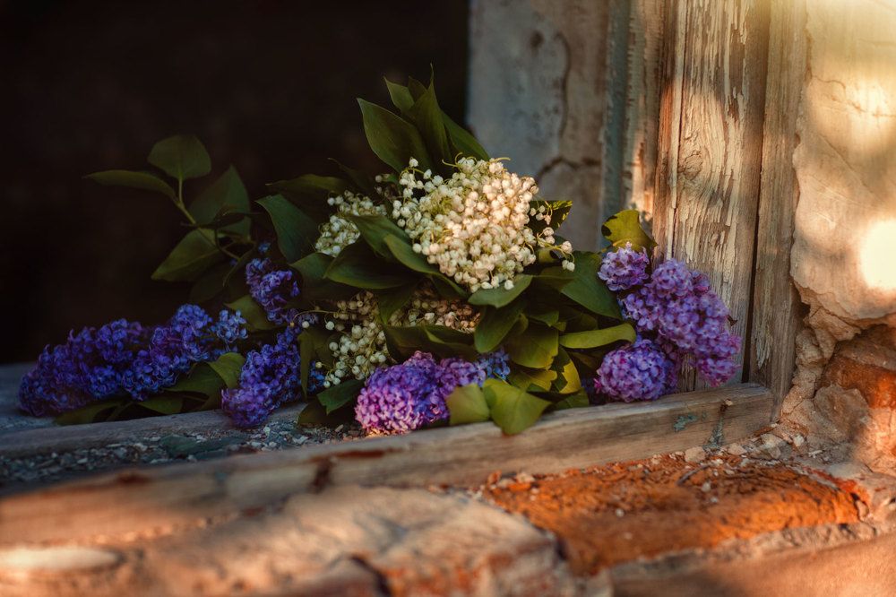 Photograph by Татьяна Муравкина