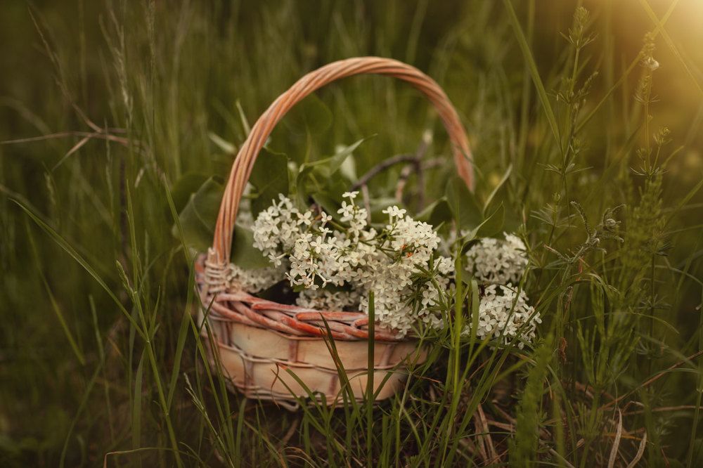 Photograph by Татьяна Муравкина