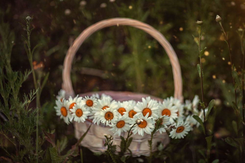 Photograph by Татьяна Муравкина