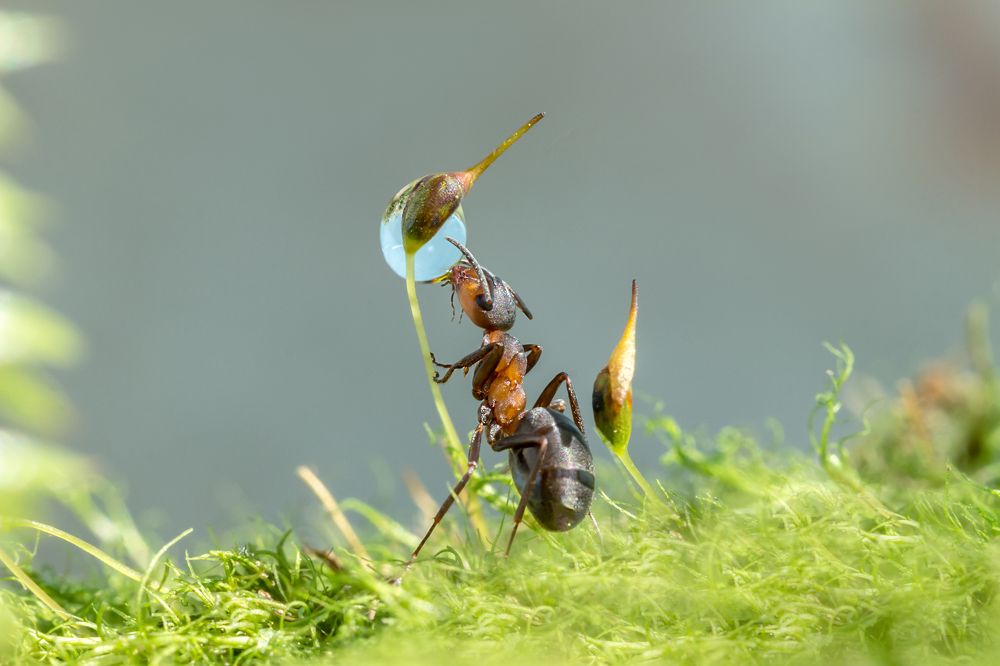 Настоящая вода для жизни.