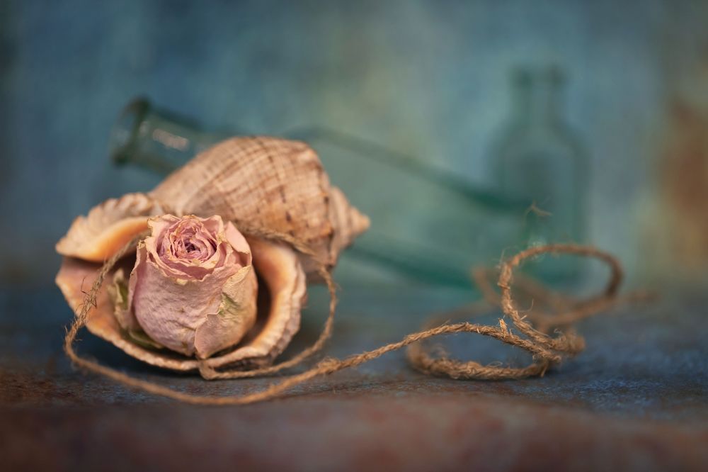 Photograph by Сергей Романченко