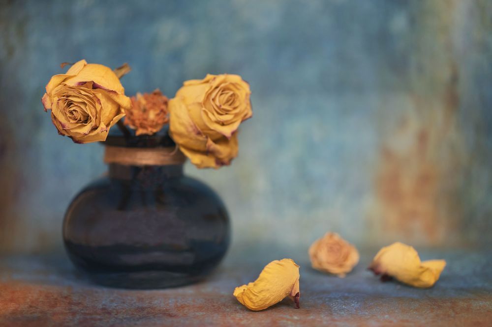 Photograph by Сергей Романченко