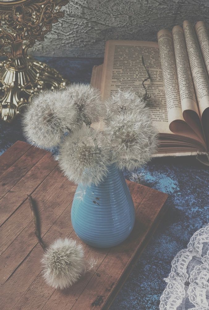 Одуванчики