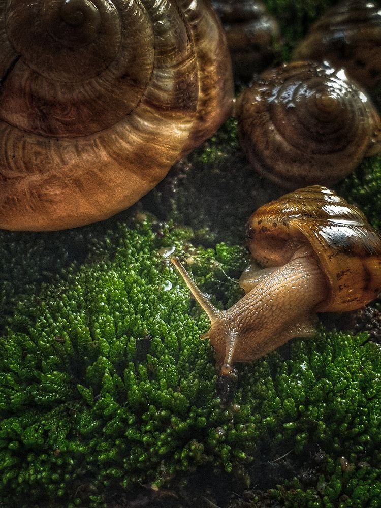 Photograph by Нина Москалёва