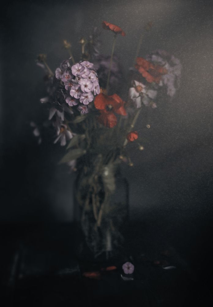 Photograph by Татьяна Рогожа