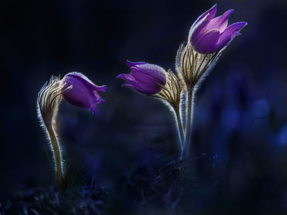 Одиночество