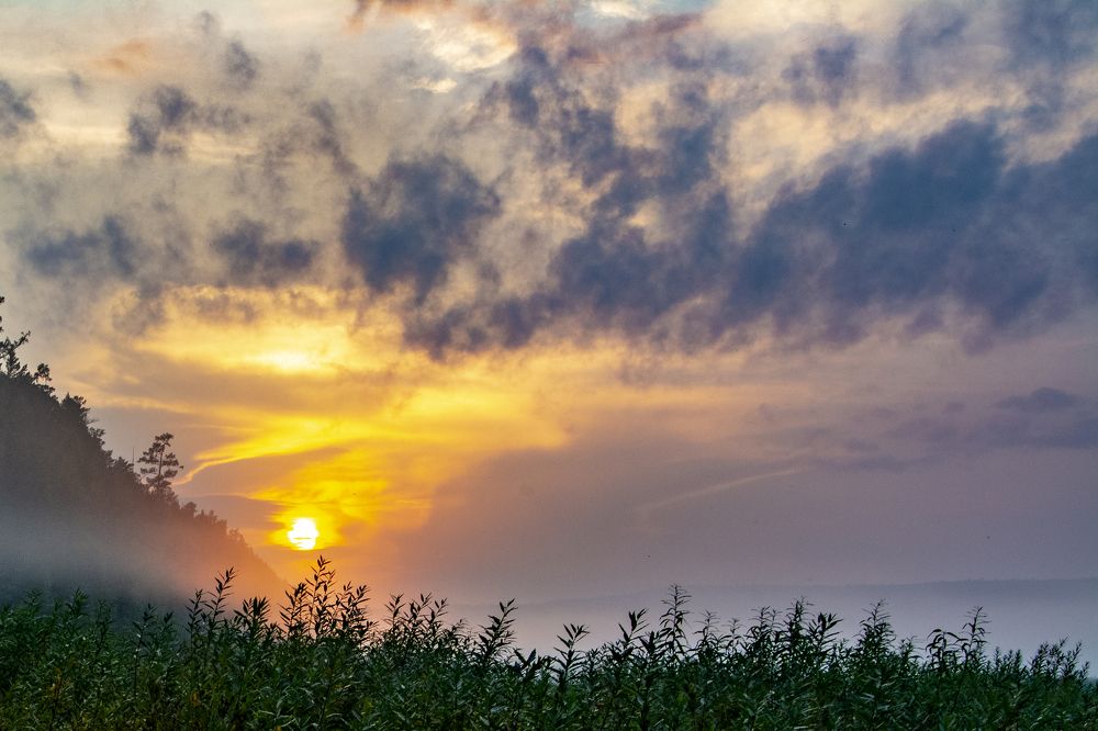 Фотография автора Анатолий Мацеля