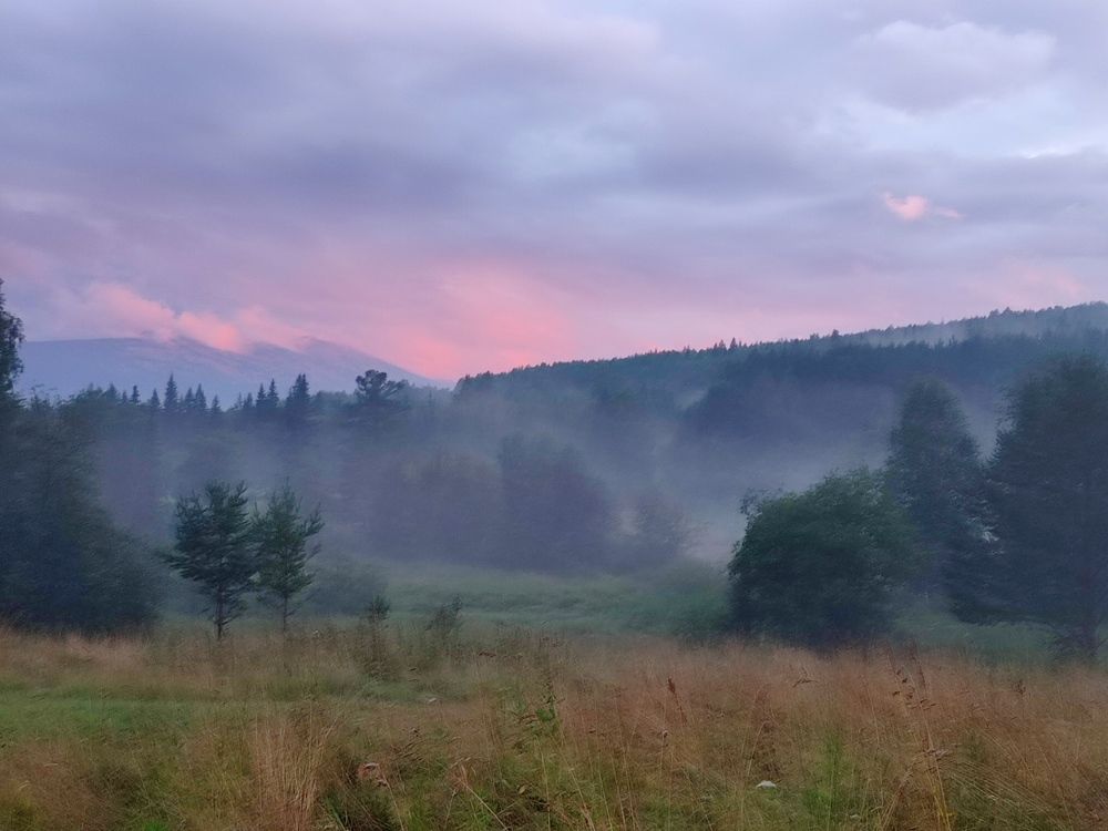 Photograph by Юлия Гинтер