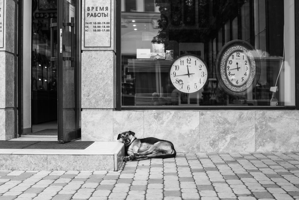 Photograph by Владимир Князев