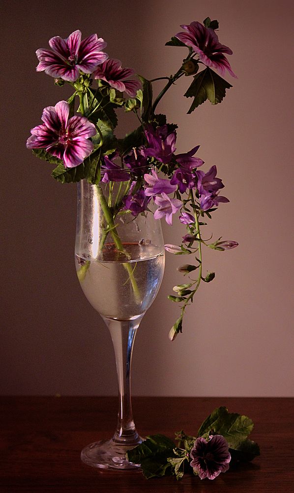 Photograph by Зоя Быкова