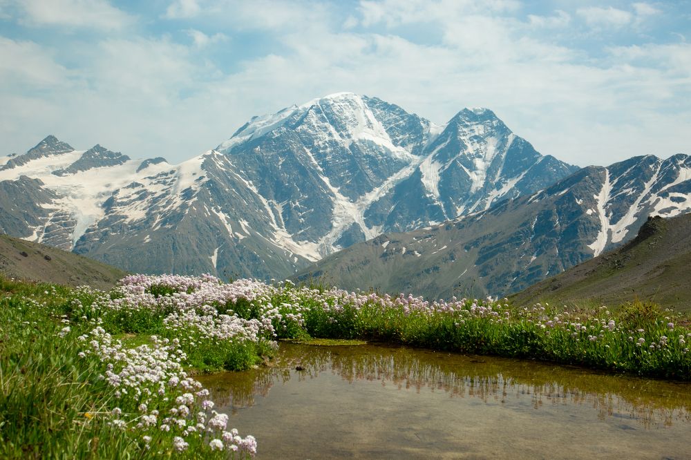 Photograph by Nadezhda Bakina