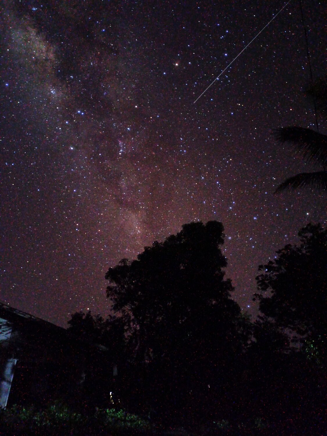 Photo #7927999