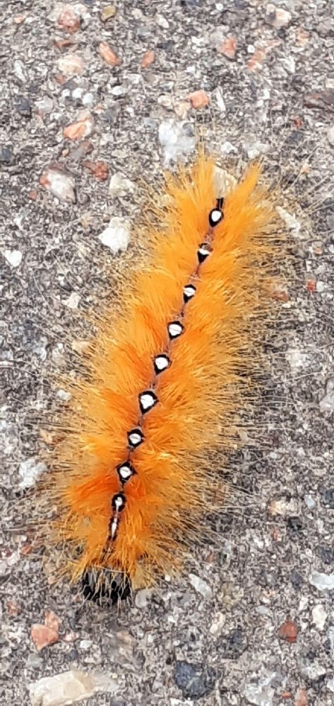 Photograph by Евгения Ульянова