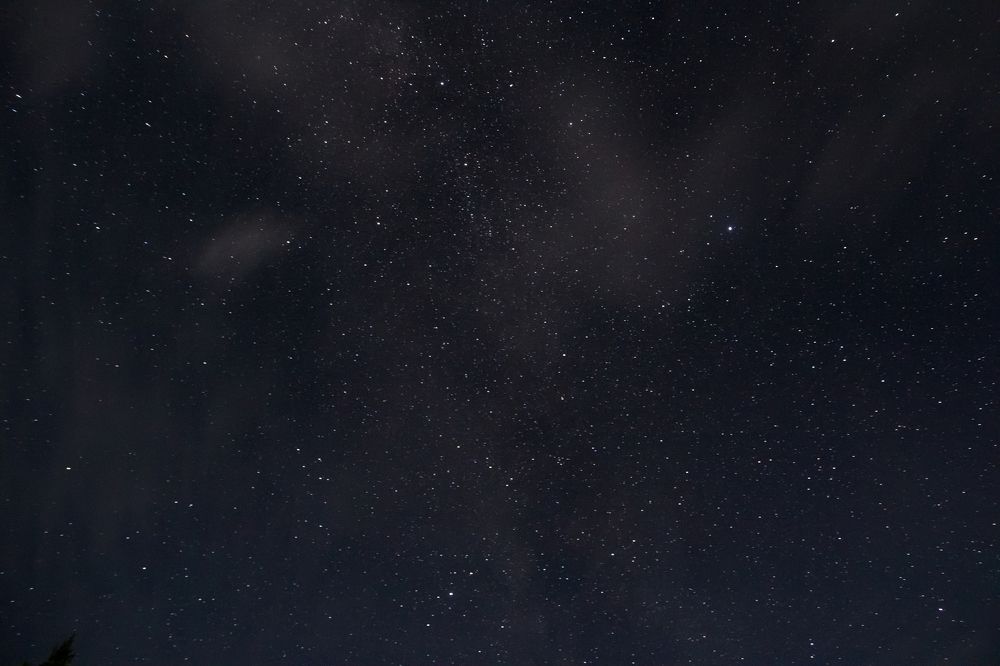 Photograph by Виктория Мамаева