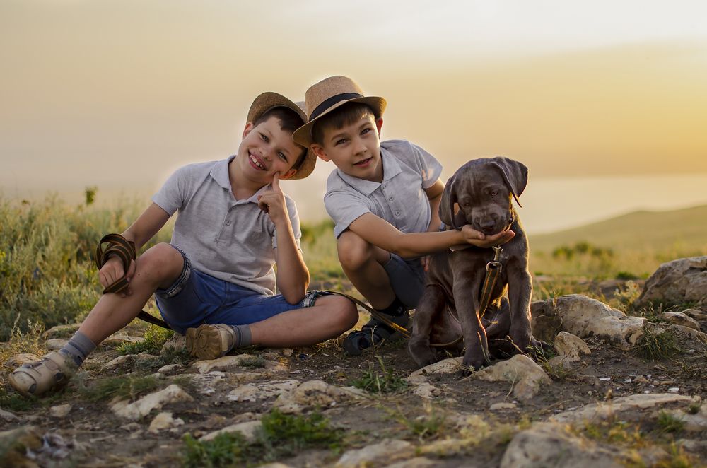 Photograph by Елена