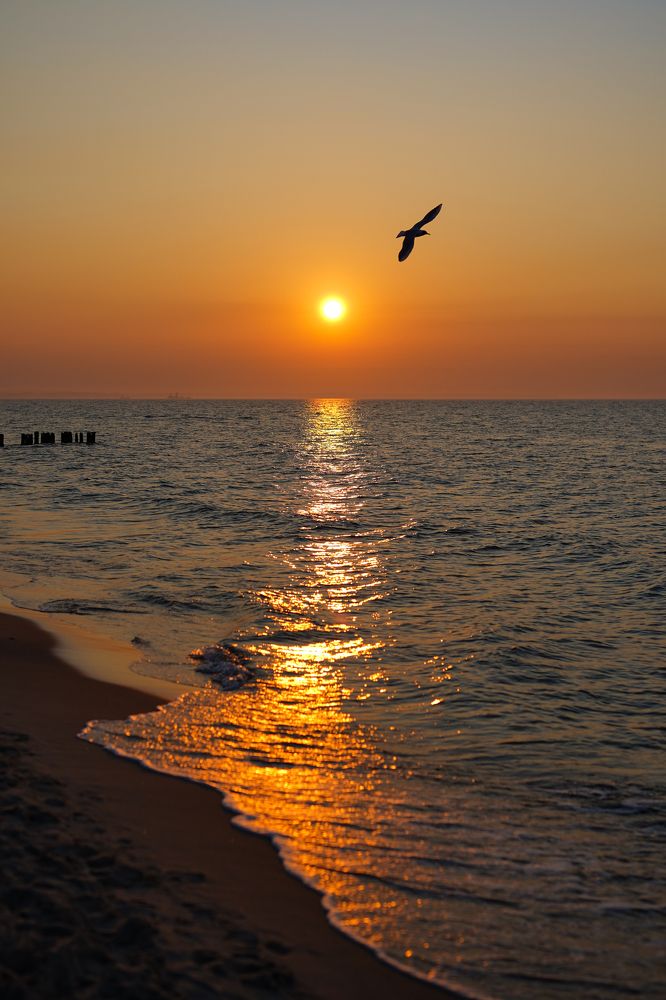 Photograph by Павел Глазков