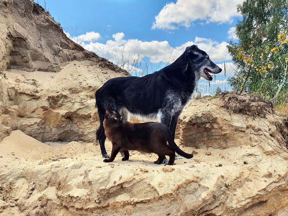 Фотография автора Надежда Лисицына