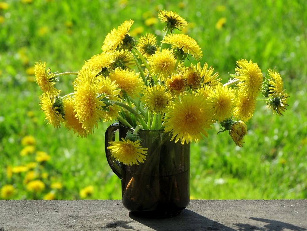 Букет одуванчиков