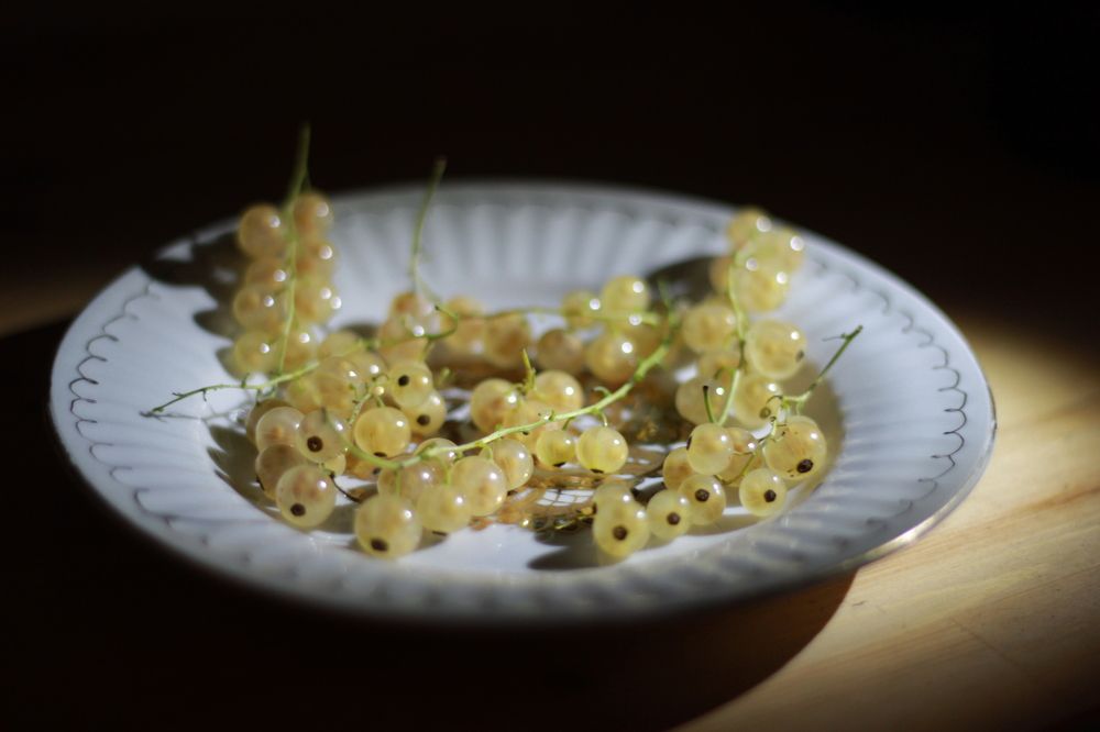 Photograph by Расшивина Дарья