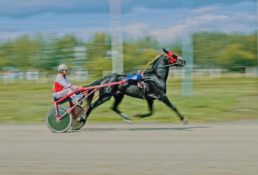 Photograph by Евгений Брусков