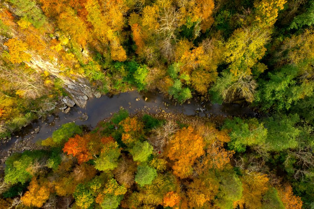 Photograph by Антон Литвинцев